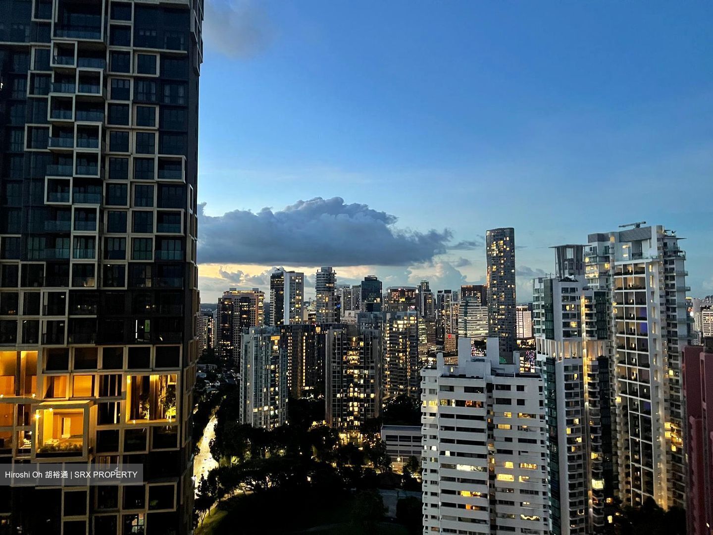 Irwell Hill Residences (D9), Apartment #515942491